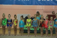 5 -8 сентября 2015 года в г. Тула прошел Межрегиональный турнир по художественной гимнастике...
