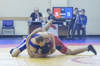 Всероссийские соревнования по спортивной борьбе посвященного памяти Ф. Полетаева в 2017 году